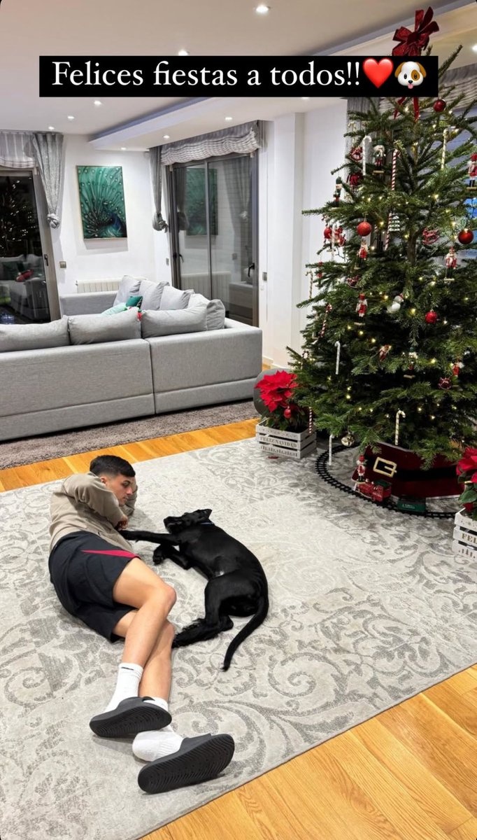 別人曬女友你曬狗，佩德里社媒曬照與愛犬共度平安夜??</p>
                    </div>

                    <br />
                    <div   id=